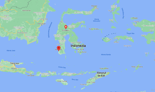 Cutremur puternic în Indonezia. Autorităţile au emis alertă de tsunami