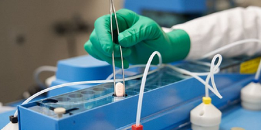 Pfizer confirmă că pastila anticovid ”paxlovid” reduce cu aproape 90% spitalizarea şi decesul persoanelor cu risc şi că este eficientă împotriva variantei omicron a SARS-CoV-2