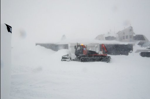 Focar de coronavirus la o staţie de cercetare din Antarctica