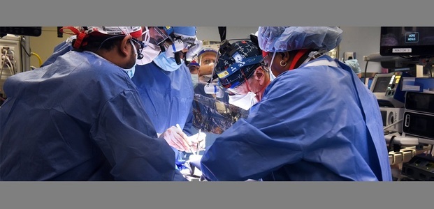 SUA - Primul transplant de succes al unei inimi de porc la om / VIDEO