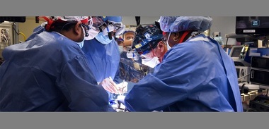 SUA - Primul transplant de succes al unei inimi de porc la om / VIDEO