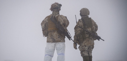 SUA autorizează ţările baltice să trimită armament american în Ucraina