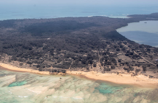Aproximativ 80% dn populaţia Tonga, afectată de erupţia vulcanică şi tsunami, care a distrus locuinţele pe mai multe insule