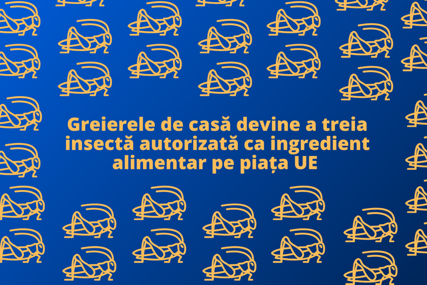 Greierele de casă devine a treia insectă autorizată ca ingredient alimentar pe piaţa UE