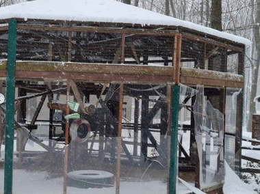  
Lucrători ai unei grădini zoologice din apropiere de Harkov, ucişi în timp ce hrăneau animalele / Un şofer şi un inginer nu au reuşit să ajungă la adăpost când au început bombardamentele 