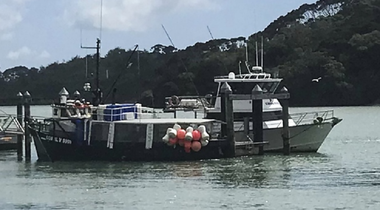 Cel puţin patru morţi, în furtuni în Noua Zeelandă