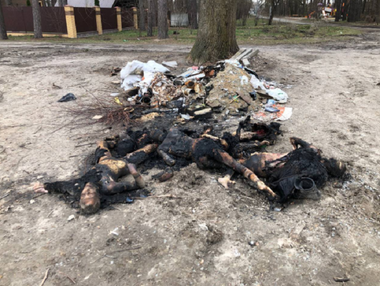 Imagini satelitare arată că numeroase cadavre ale unor civili se aflau în stradă, la Bucea, cel puţin de la 18 martie, când oraşul se afla sub controlul forţelor ruse