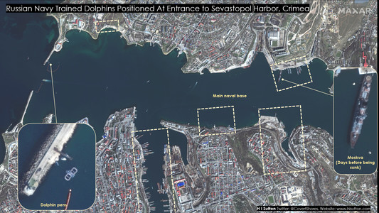 Rusia a desfăşurat delfini la baza navală din Sevastopol ca să îşi protejeze flota de atacuri subacvatice, potrivit imaginilor din satelit analizate de Institutul Naval al Statelor Unite
