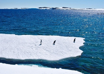 Fragmente de microplastic au fost descoperite pentru prima dată în zăpada proaspăt aşternută din Antarctica