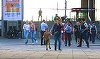 Focuri de armă într-un centru comercial din Copenhaga. Mai multe persoane au fost rănite - VIDEO