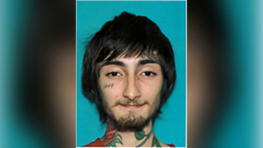 Poliţia l-a identificat şi reţinut pe Robert E. Crimo III, în vârstă de 22 de ani,  suspect în cazul împuşcăturilor de la parada din Highland Park