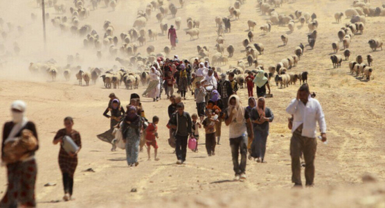 Genocidul yazidi al Statului Islamic, recunoscut de Bundestag