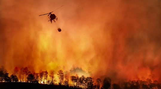 Un mort într-un incendiu în nordul Portugaliei; Guvernul decretează ”starea de contingenţă” cel puţin până vneri; temperaturi de până la 46°C în regiunea Santarem