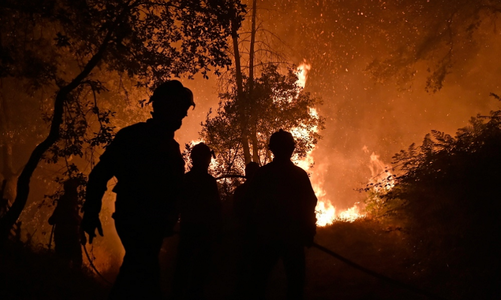 Incendiile de vegetaţie se extind în Portugalia, Spania şi Franţa. Un pilot a murit în Portugalia, în urma prăbuşirii avionului său cu apă