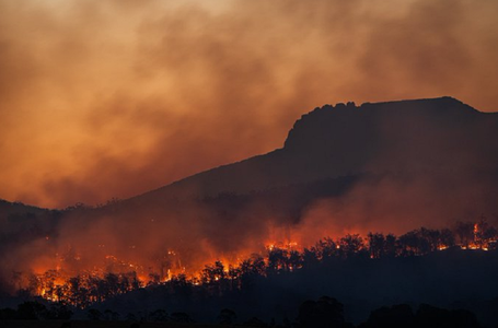 Spania: Temperaturi de 45 de grade aşteptate duminică. Incendiile de vegetaţie au distrus peste 200.000 de hectare de la începutul anului