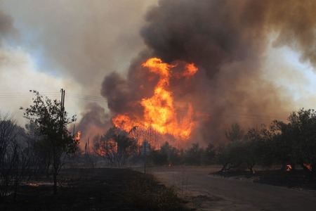 Germania: Incendiu forestier în regiunea Berlin în urma unei explozii într-un depozit de muniţie al poliţiei - FOTO