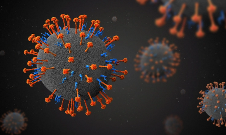 Un nou virus, ”langya”, cu caracteristici asemănătoare noului coronavirus, descoperit în China, unde 35 de persoane au fost infectate în două provincii din est; chiţcanii ar fi purtătorii noului virus