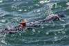Marea Britanie oferă drone subacvatice Ucrainei, necesare pentru a-şi curăţa zona de coastă de mine