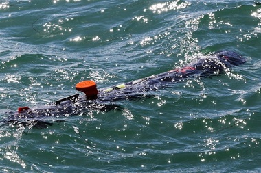 Marea Britanie oferă drone subacvatice Ucrainei, necesare pentru a-şi curăţa zona de coastă de mine