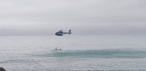 Noua Zeelandă: Cinci persoane au murit după ce barca în care se aflau ar fi fost lovită de o balenă