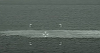 Ministerul britanic al Apărării respinge drept ”afirmaţii false de o amploare epică” acuzaţiile Moscovei privind implicarea Regatului Unit în exploziile de la Nord Stream şi într-un atac masiv cu drone în Crimeea