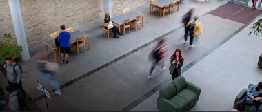 O universitate din Statele Unite propune studenţilor un curs care îi învaţă să nu facă nimic