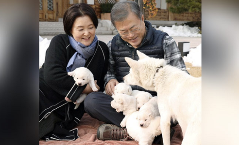 Fostul preşedinte Moon Jae-in, dispus să renunţe la perechea de câini Pungsan pe care i-a primit cadou de la Kim Jong Un după summitul din 2018
