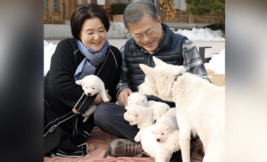 Fostul preşedinte Moon Jae-in, dispus să renunţe la perechea de câini Pungsan pe care i-a primit cadou de la Kim Jong Un după summitul din 2018