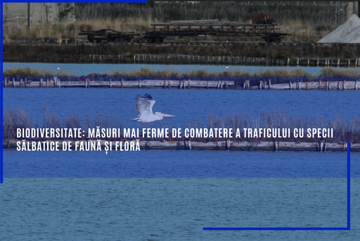 Comisia Europeană a adoptat un Plan revizuit cu măsuri mai ferme de combatere a traficului cu specii sălbatice de faună şi floră