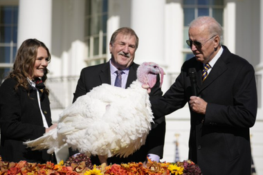 Biden iartă curcanii Chocolate şi Chip de Thanksgiving şi deschide sezonul sărbătorilor. Singurul ”val roşu” va fi dacă ciobănescul său german Commander va vărsa sosul de merişoare, declară el ironic după alegerile de la jumătate de mandat