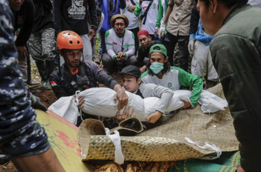 O fată în vârstă de şapte ani, găsită fără viaţă la cinci zile de la cutremurul din Indonezia, al cărui bilanţ a crescut la 310 morţi. În total, 24 de persoane rămân date dispărute după seism