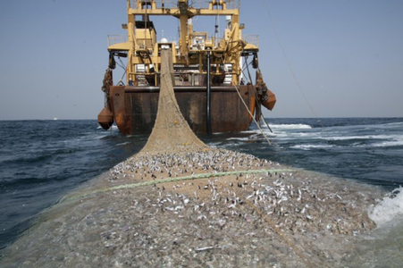 Acord între Uniunea Europeană şi Regatul Unit asupra cotelor de pescuit în 2023, în ape ale căror resurse le gestionează în comun. Flotei UE i se garantează pescuitul a 350.000 de tone de peşte, estimat la un miliard de euro. ONG-uri denunţă suprapescuitu