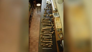 CNN: Doar două cadavre au mai fost găsite după bătălia de la Waterloo. Asta, până când un bărbat a dezvăluit ce se afla în podul său - FOTO