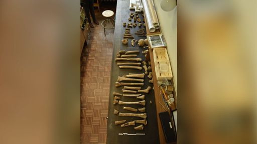 CNN: Doar două cadavre au mai fost găsite după bătălia de la Waterloo. Asta, până când un bărbat a dezvăluit ce se afla în podul său - FOTO