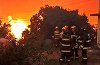 Chile: 23 de persoane au murit în urma incendiilor de vegetaţie