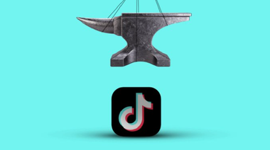 Casa Albă ordonă agenţiilor federale să interzică TikTok pe aparatele lor, în termen de 30 de zile