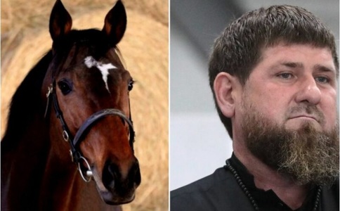 Calul de curse al lui Kadîrov a dispărut dintr-un grajd din Cehia. Animalul se afla sub incidenţa sancţiunilor internaţionale