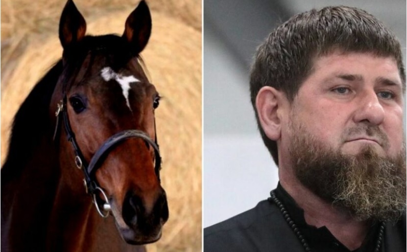 Calul de curse al lui Kadîrov a dispărut dintr-un grajd din Cehia. Animalul se afla sub incidenţa sancţiunilor internaţionale