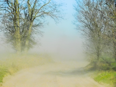 Record: Vântul a bătut sâmbătă la Budapesta cu 117 km/h, aproape de viteza unui uragan