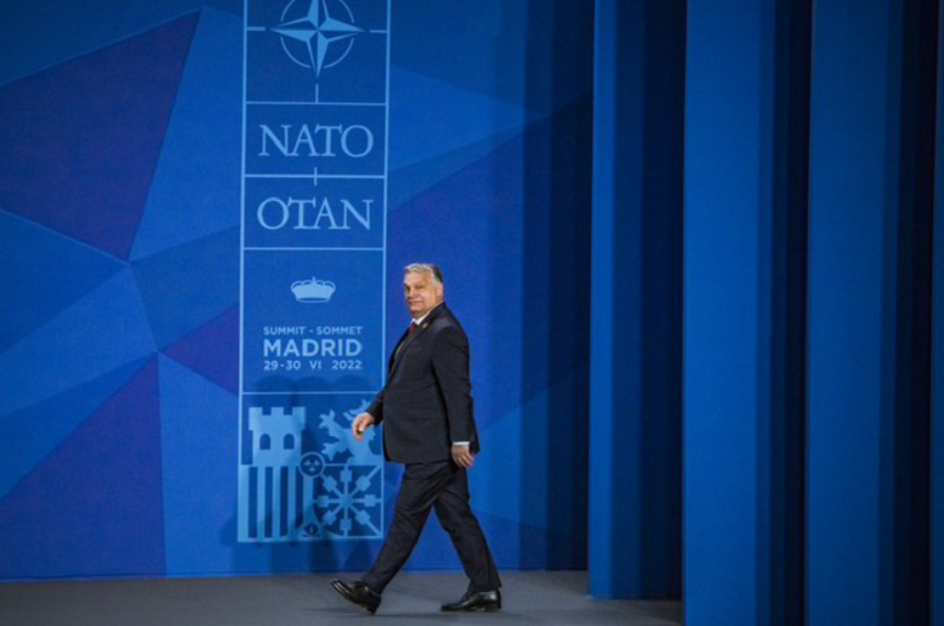 Ungaria impune Suediei condiţii prealabile unei aderări la NATO