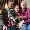 Anglia - Mai mult de 200 de copii s-au vindecat de hepatita C printr-un program de sănătate în premieră mondială 
