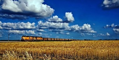 Reuters: Ucraina a ajuns la o înţelegere cu Polonia pentru tranzitul de cereale, dar acordul pentru transportul pe Marea Neagră este sub semnul întrebării