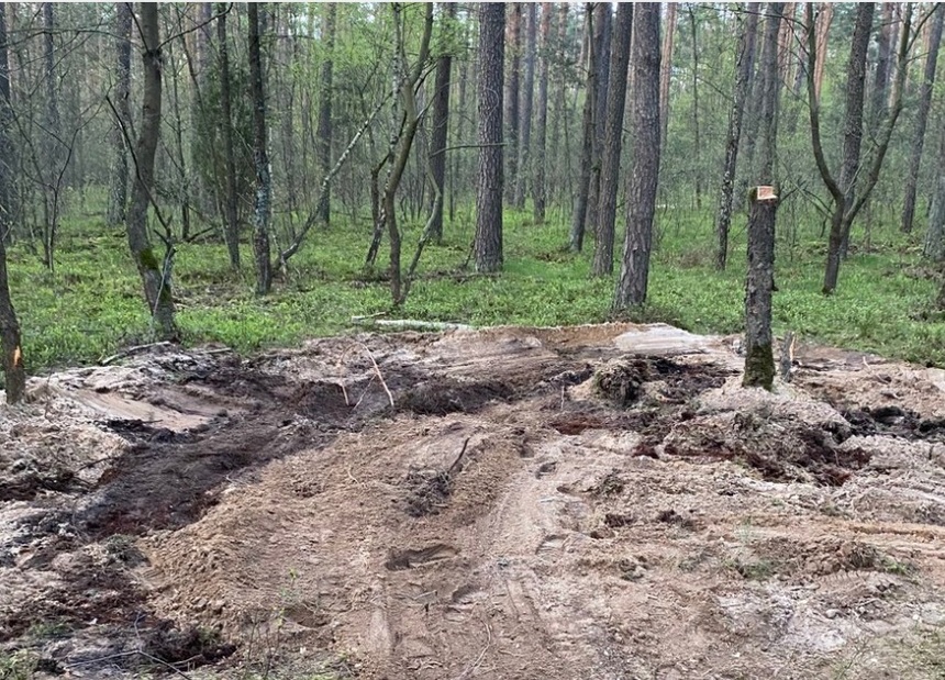 UPDATE - Polonezii au descoperit într-o pădure rămăşiţele unui obiect militar neidentificat. Zona se află la sute de kilometri depărtare de graniţele Poloniei cu Ucraina, Belarus şi Kaliningrad