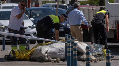 O iapă moare înhămată la caleaşcă, la Sevilla, în timpul unui val de căldură 