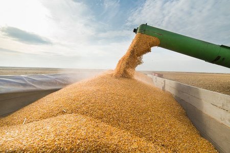 Acordul pentru transportul cerealelor ucrainene pe Marea Neagră va fi prelungit - surse TASS