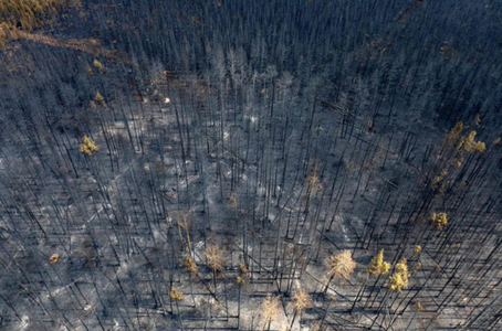 Peste 521.000 de hectare de terenuri devastate de incendii în vestul Canadei, zeci de mii de locuitori evacuaţi în Alberta
