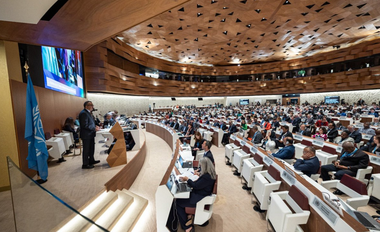 Adunarea Mondială a Sănătăţii cere Rusiei, într-o rezoluţie, să înceteze ”imediat” atacurile ”împotriva spitalelor şi instituţiilor de sănătate” din Ucraina. Rusia, China, Siria, Algeria, Cuba şi Coreea de Nord au votat ”împotrivă”. Ungaria a lipsit