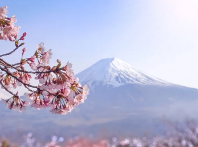 Japonia a înregistrat în 2022 cea mai caldă primăvară din1898, anunţă Agenţia Meteorologică niponă
