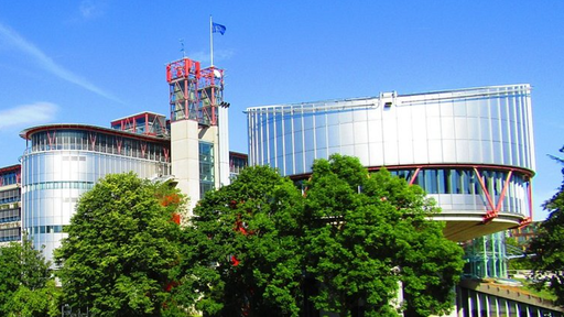 CEDO condamnă Ucraina, din cauza nerecunoaşterii cuplurilor homosexuale, să plătească reparaţii morale în sumă de 10.000 de euro unui cuplu de bărbaţi care a încercat în zadar să se căsătorească la starea civilă
