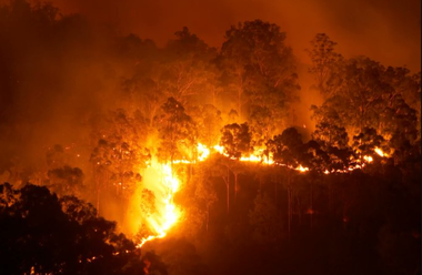 Incendiile de vegetaţie din Canada s-au răspândit în provincia vestică British Columbia, dar Qebecul vede semne de progres